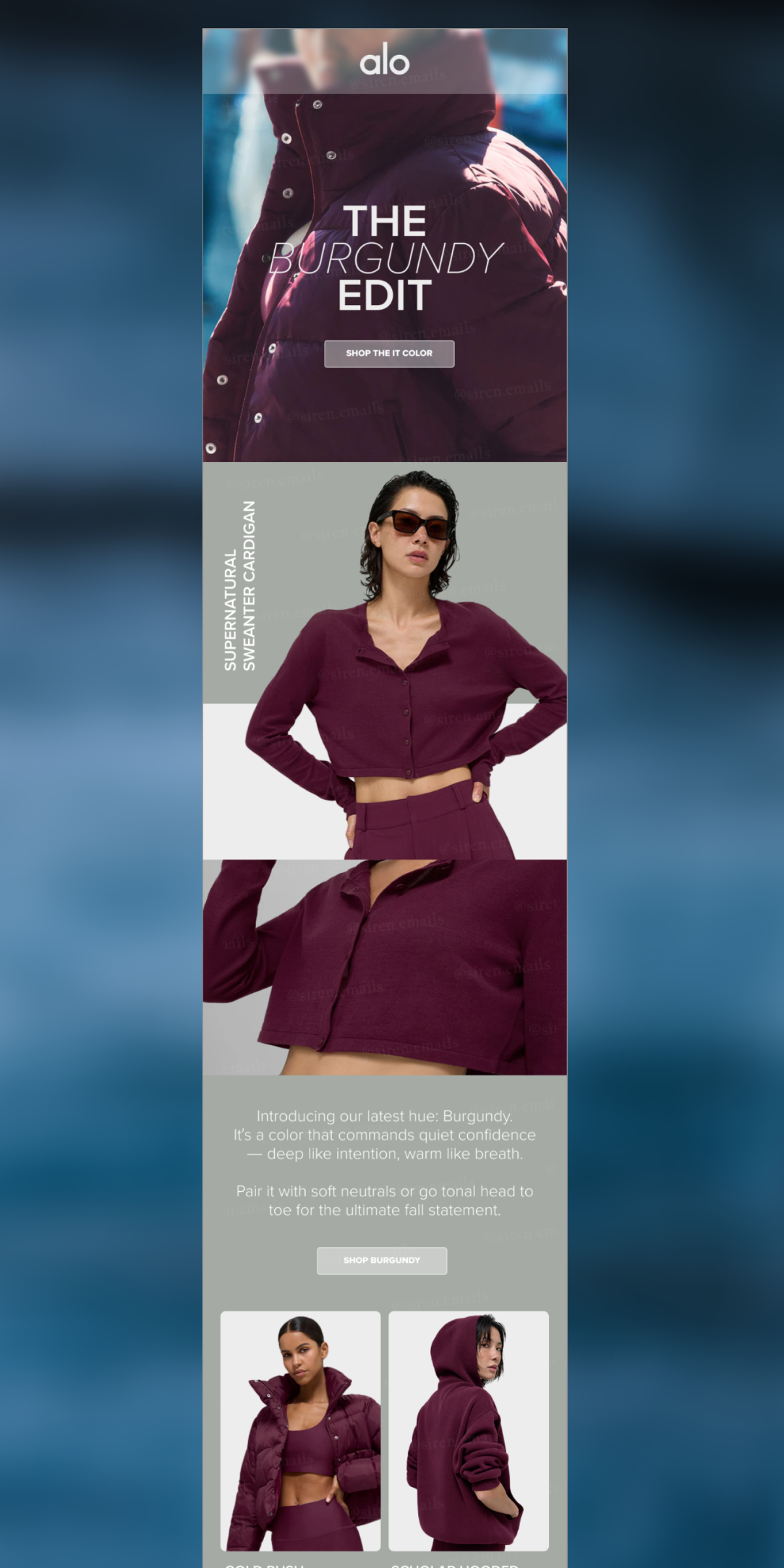 Color Story Email Design | Email Marketing