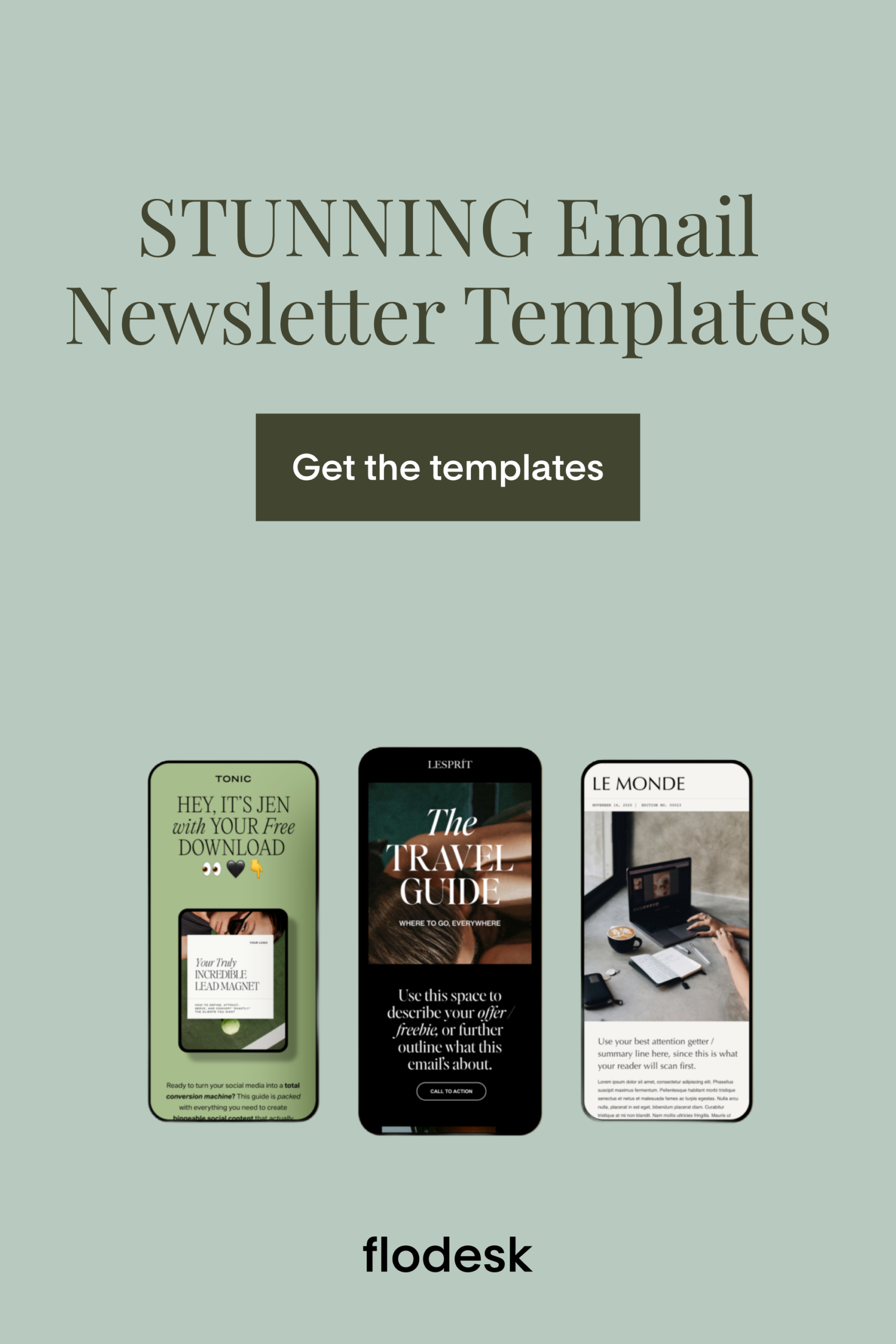 STUNNING Email Newsletter Templates
