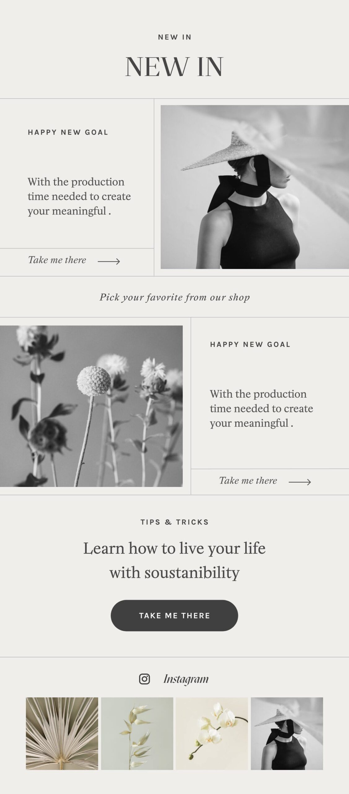 Make Every Send Stylish with Branded Newsletter Template