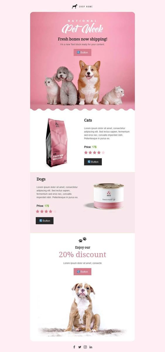 Pink Pet Shop – Email Design Template