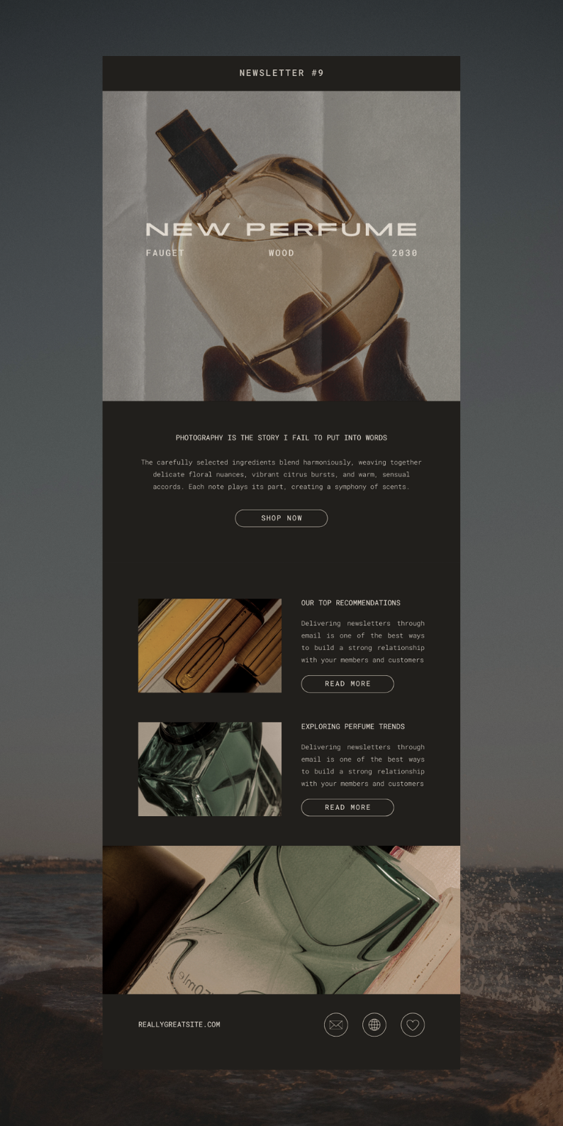 Perfume email newsletter template