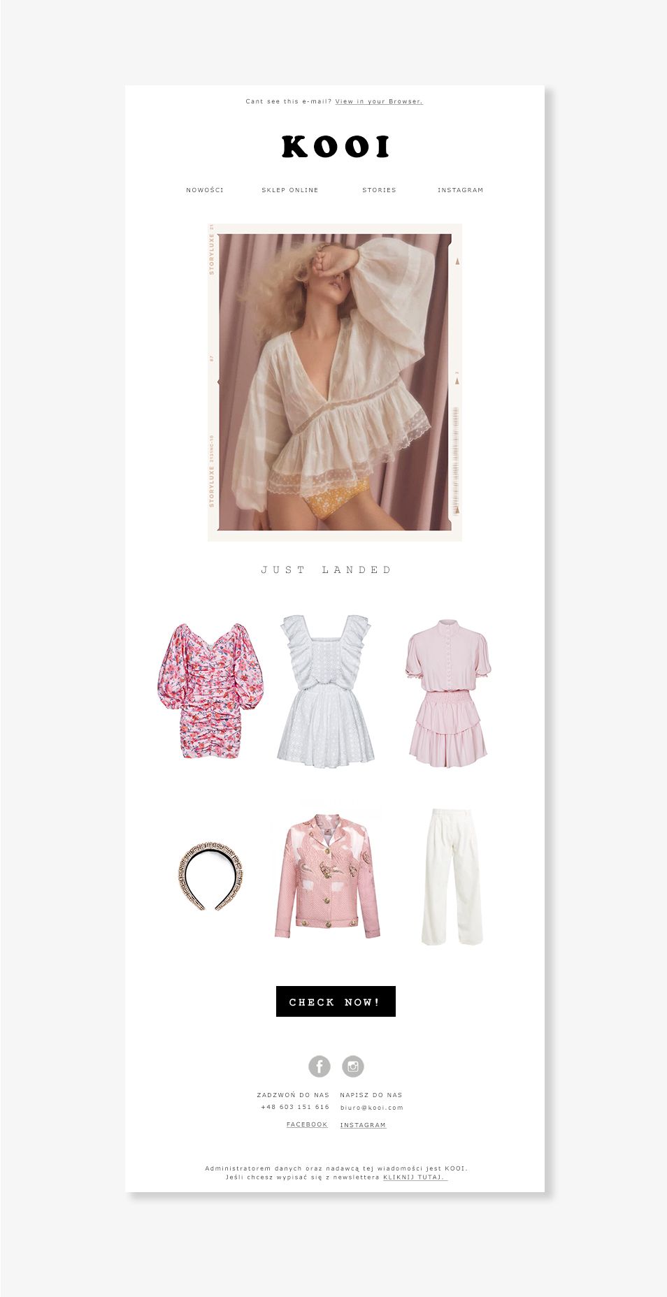 Newsletter Design KOOI