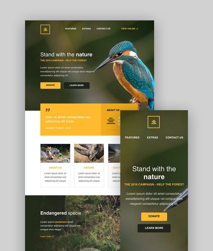 Best Mailchimp Templates to Level Up Your Email Newsletter Designs for 2025 | Envato Tuts+