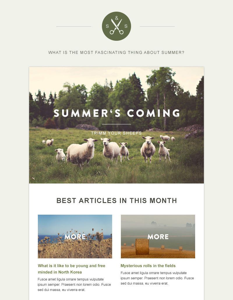 20 Free Business Newsletter Templates to Download