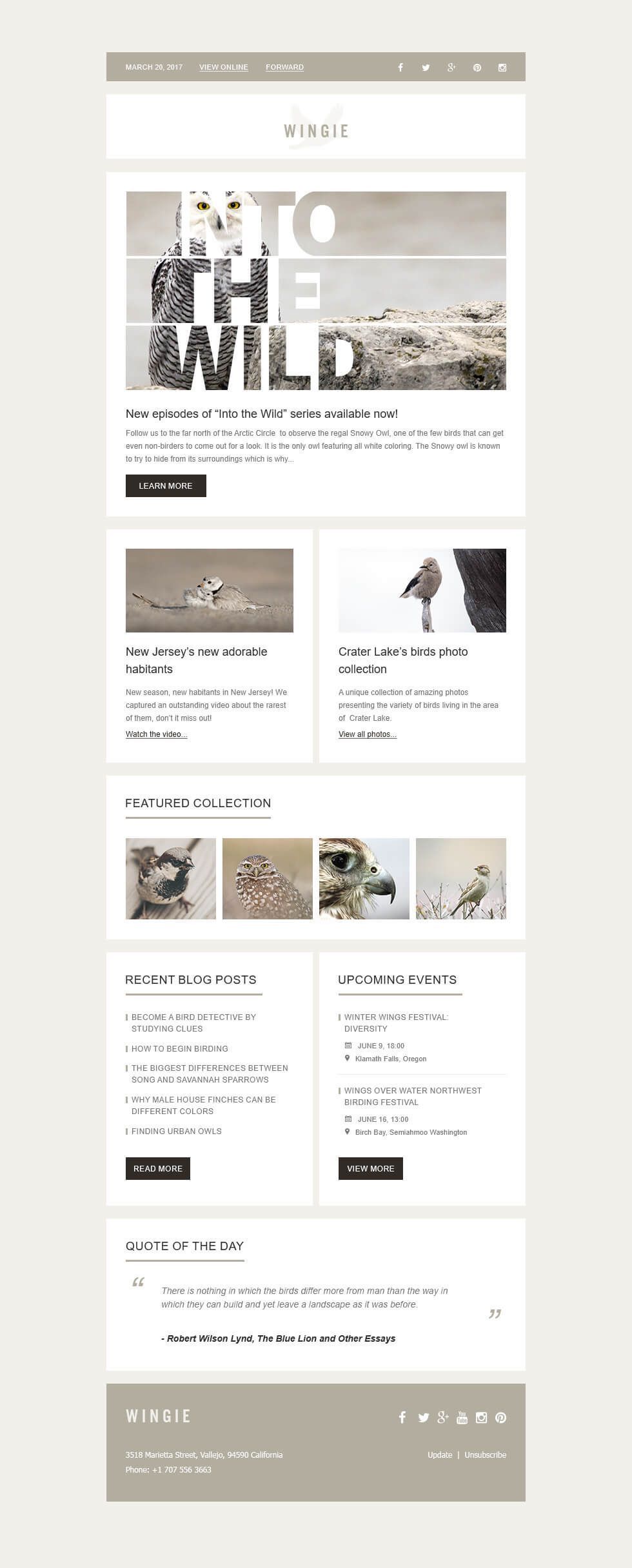 Boost Business Success with Editable Canva Email & Newsletter Templates 📧