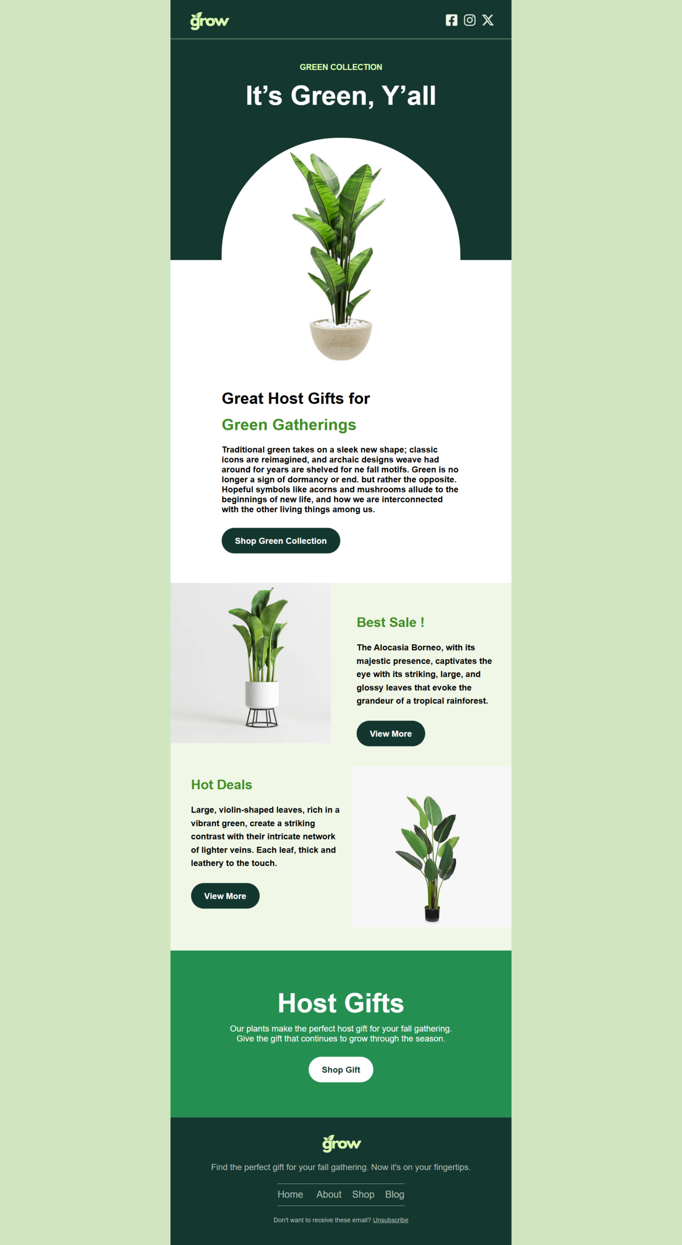 MailChimp HTML Emails: From PDF to Stunning Templates