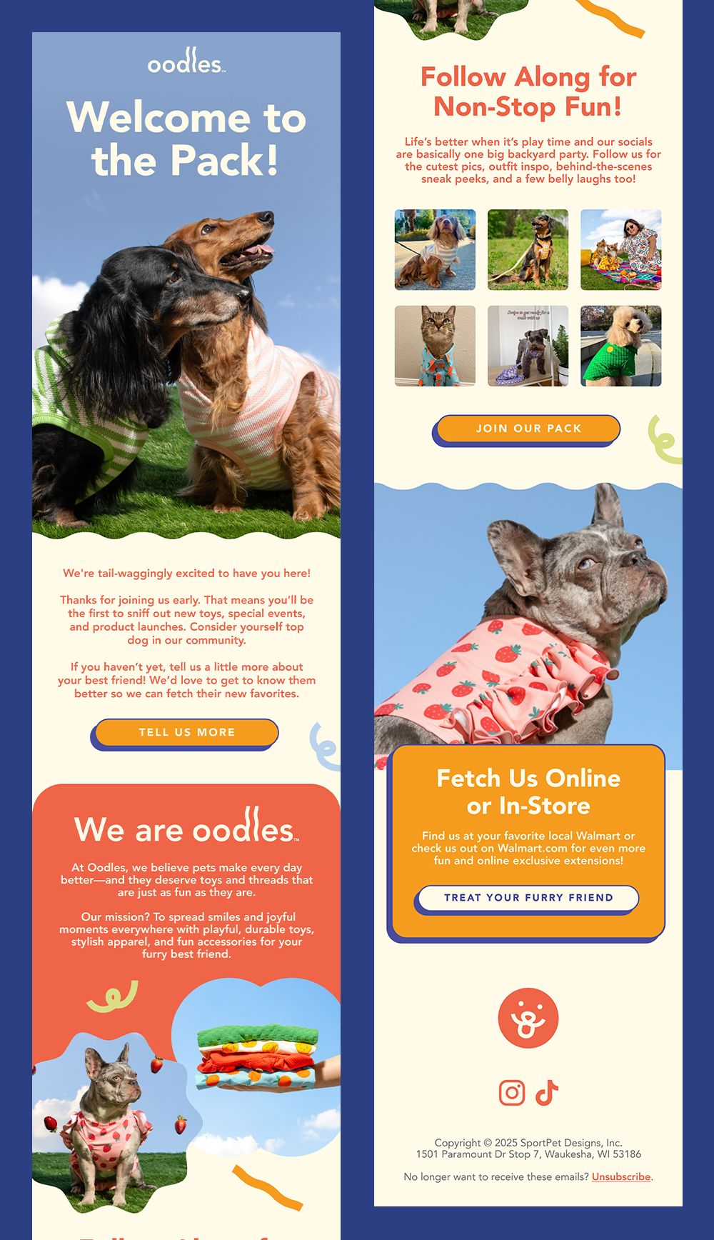 Email Design for Pet Brand Oodles