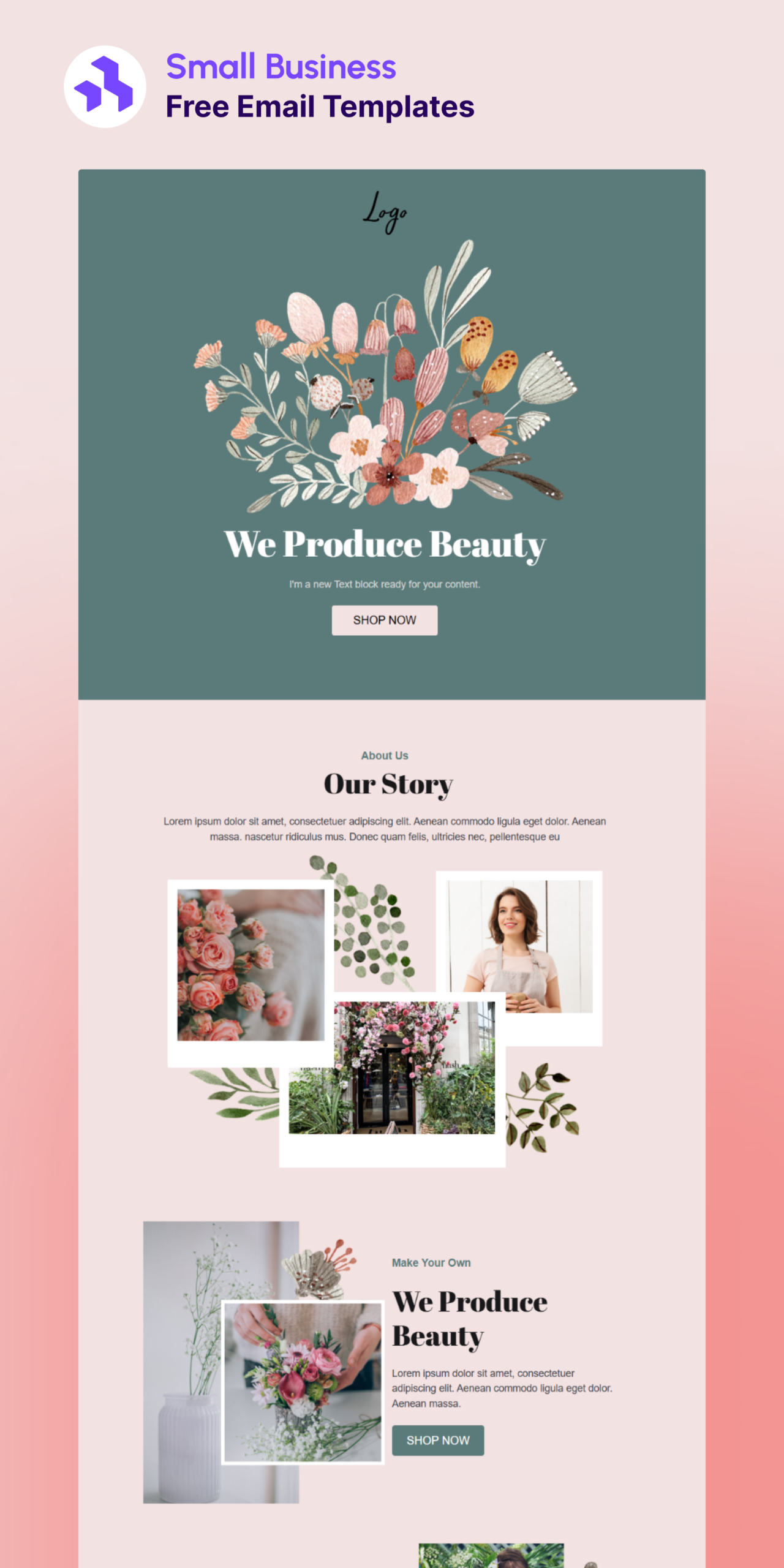 Small Business Email Template for Branding and Storytelling