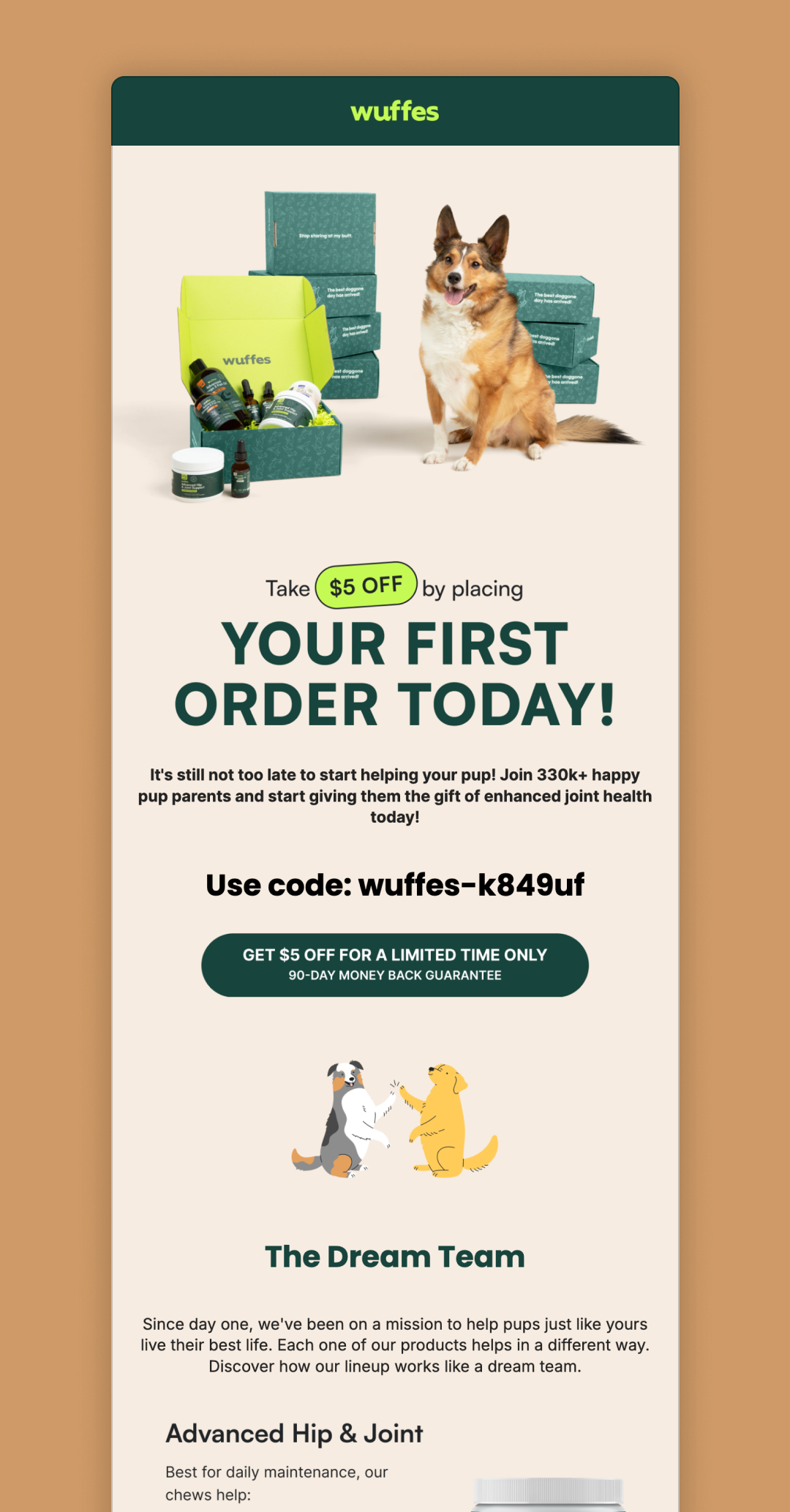 High-converting offer email – Wellness for pets with personality