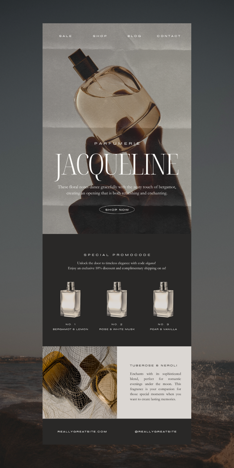 Email newsletter canva template design for perfume beauty skincare fashion