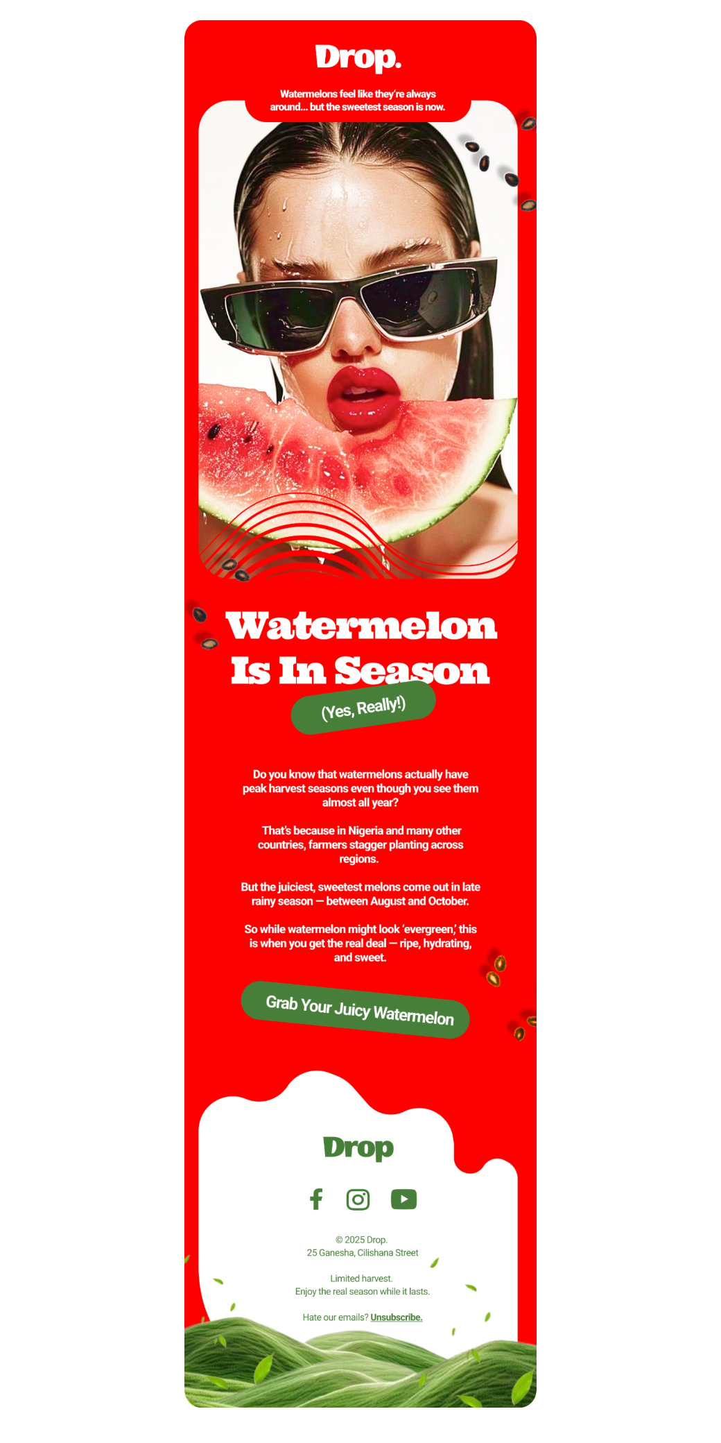 Drop Orchard Email Marketing Design