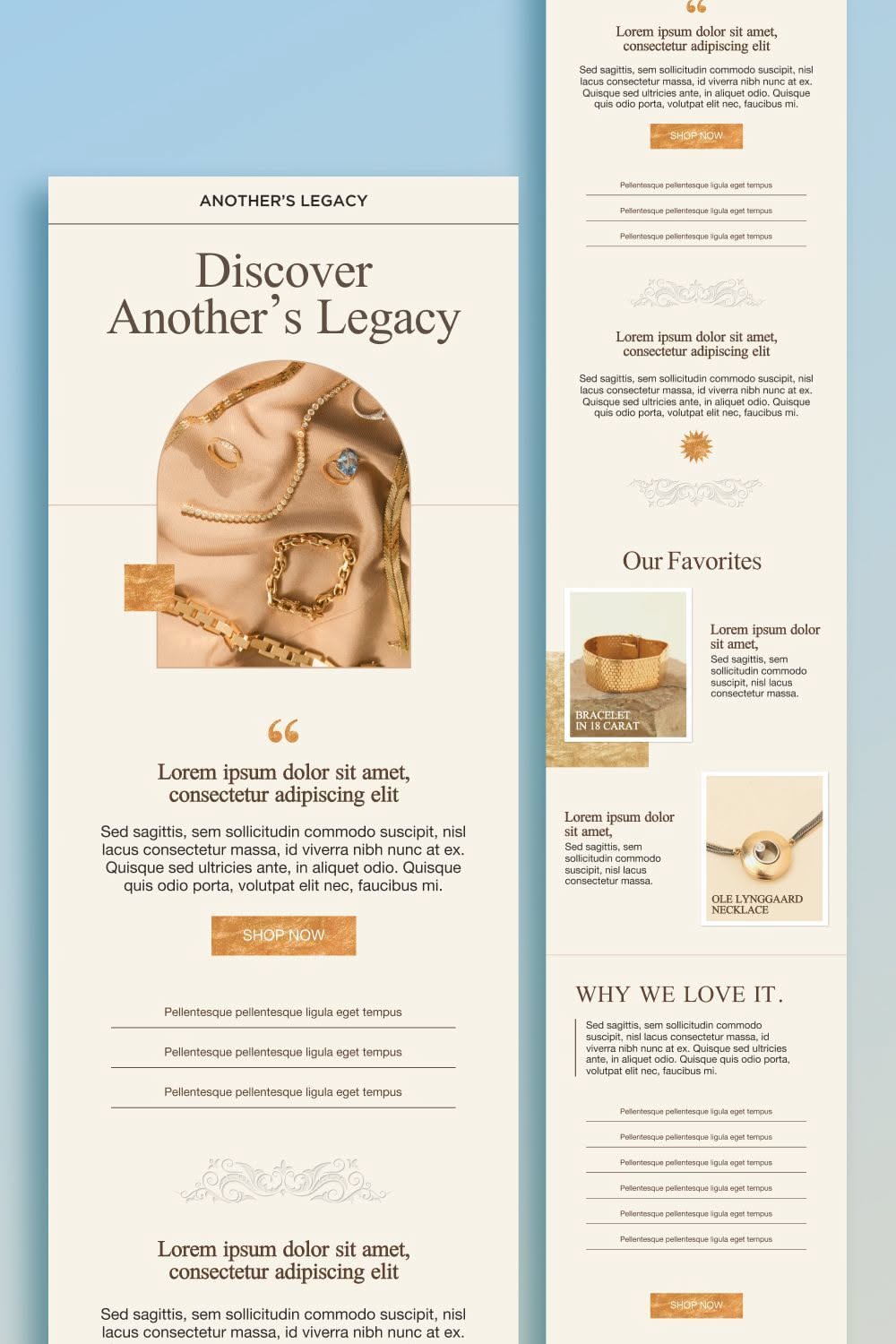 Polish Your Business Communication Through Modern Email Newsletter