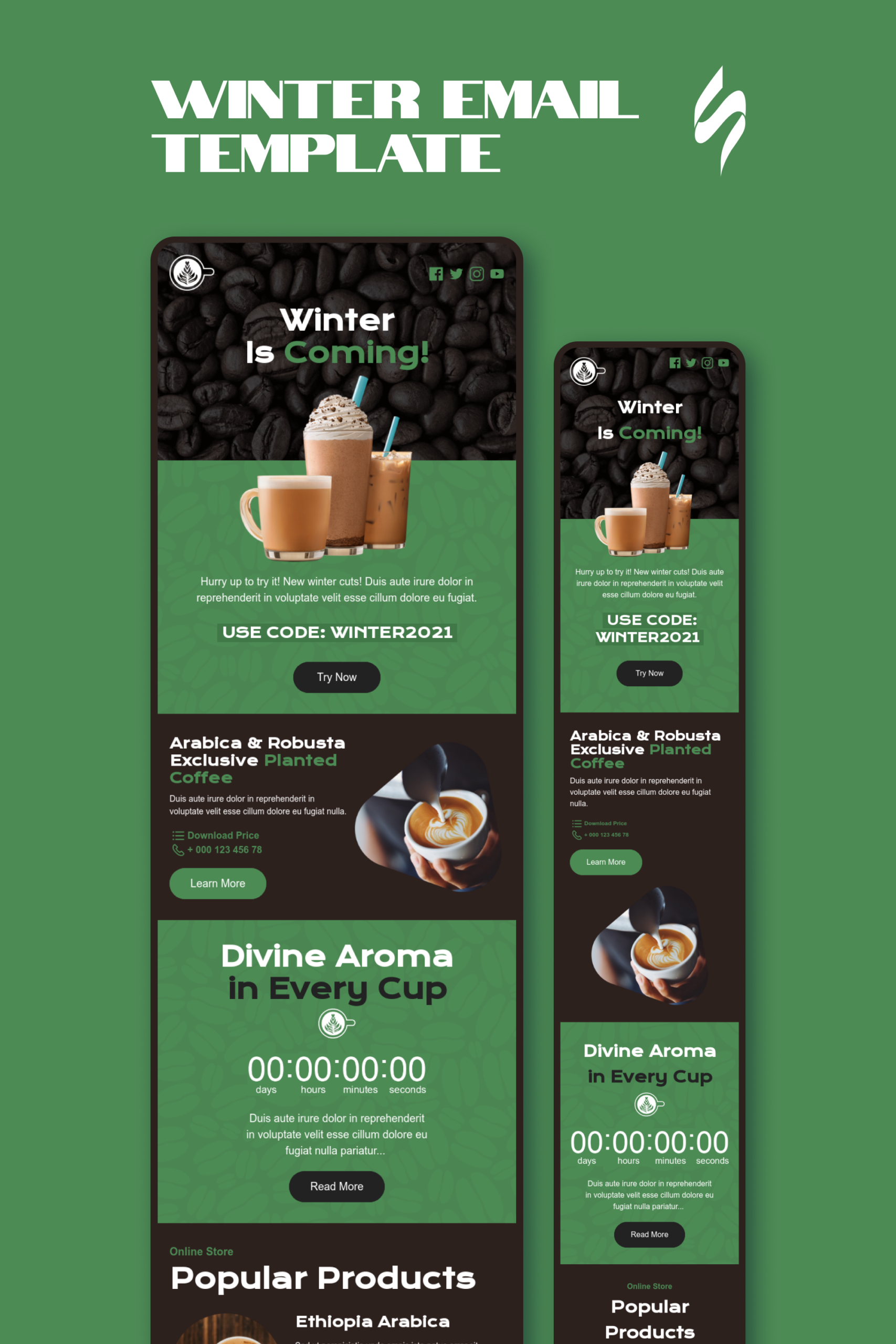 Winter Email Design | Email Newsletter Design