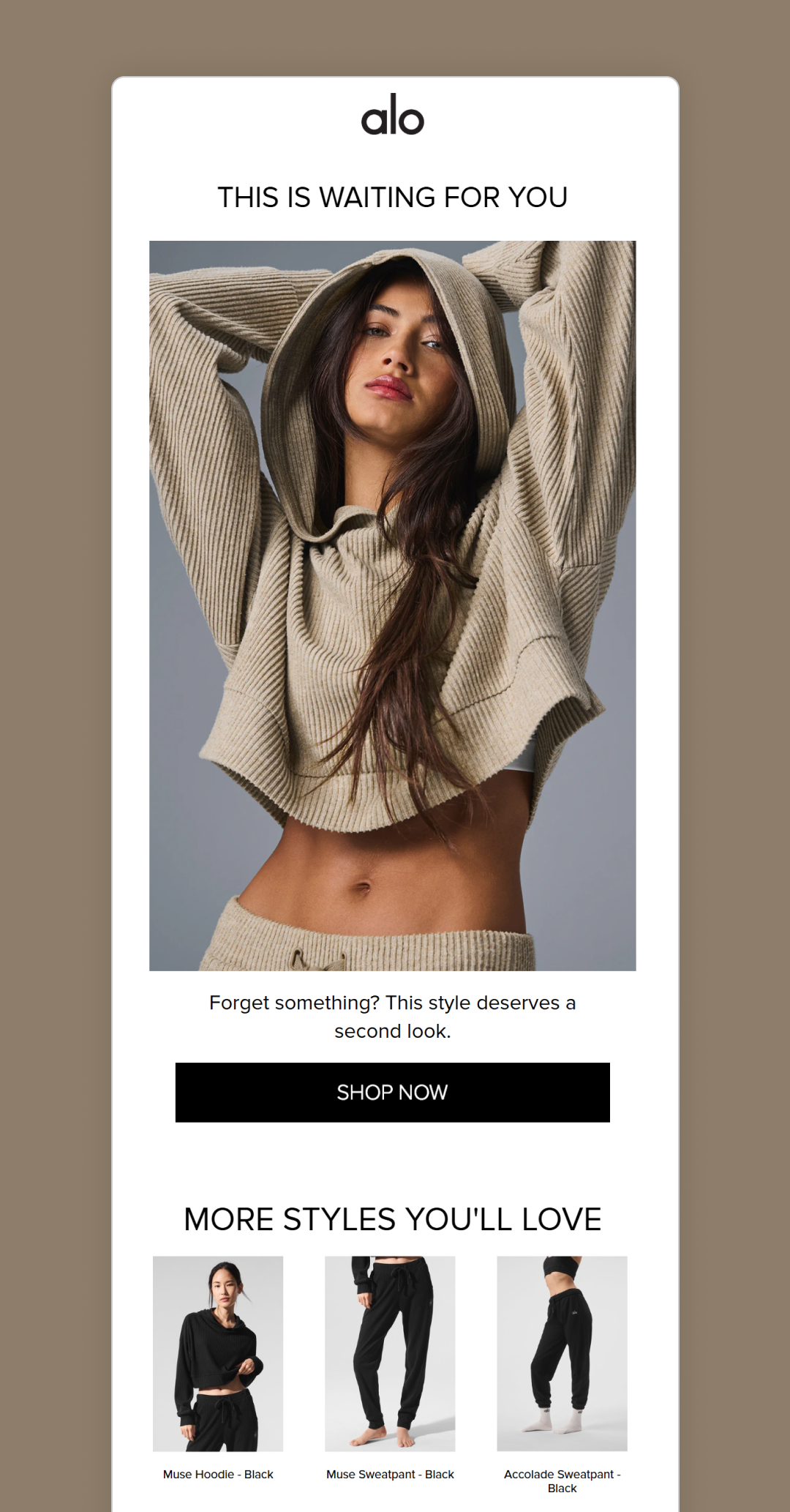This cart abandonment email slaps (Fashionably)