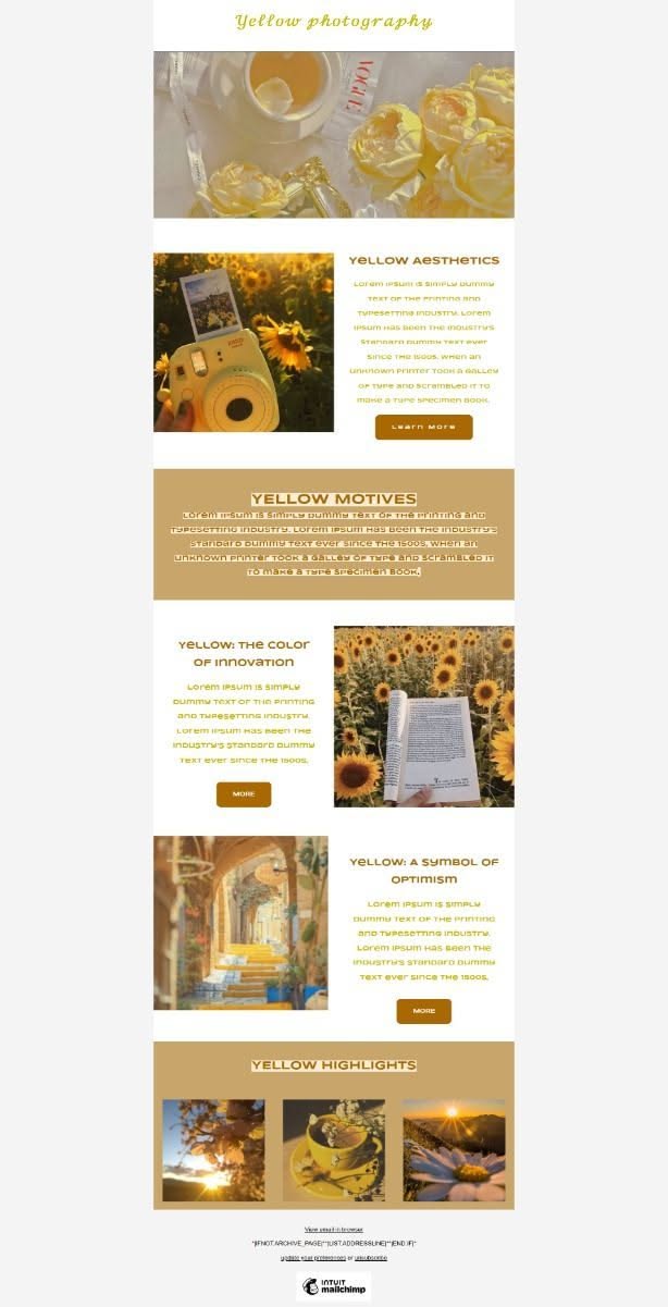 Mailchimp Email Template Design