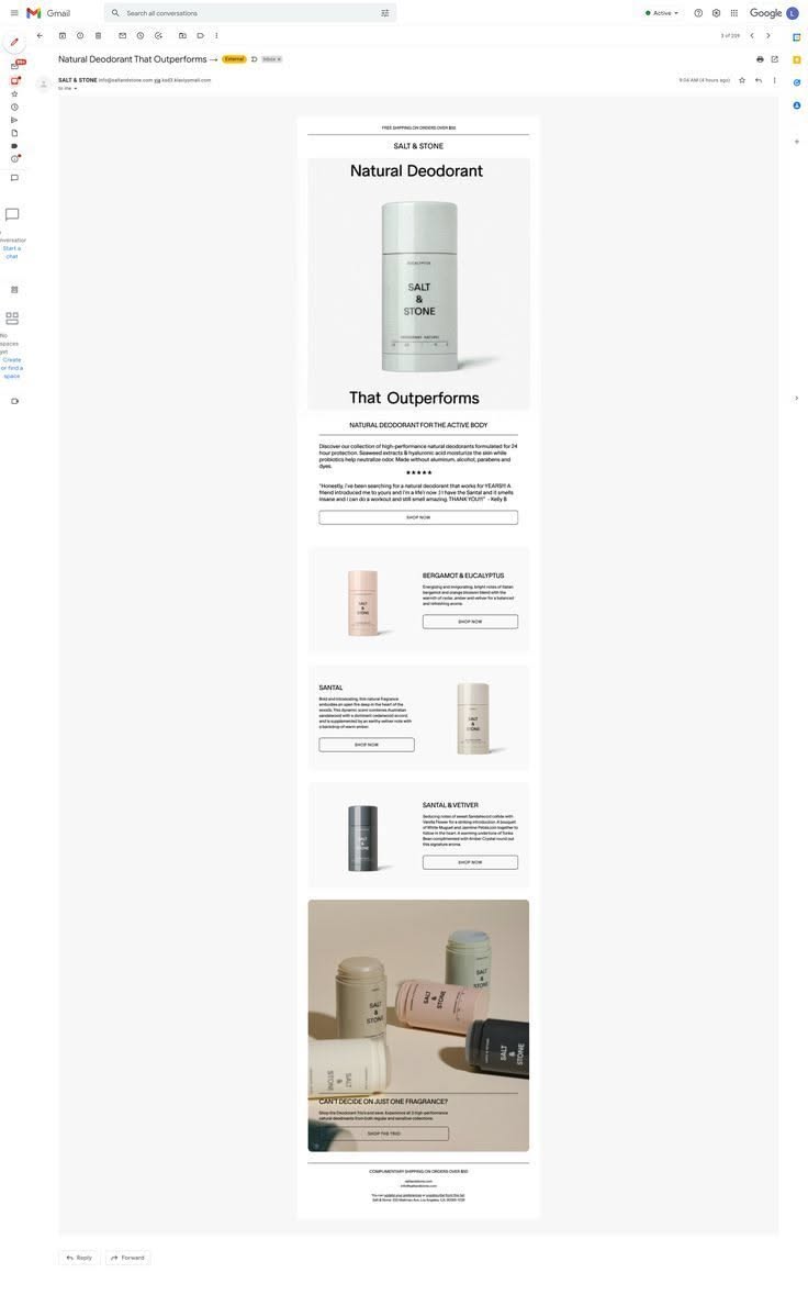 SALT & STONE: Email Campaign Design That Sells