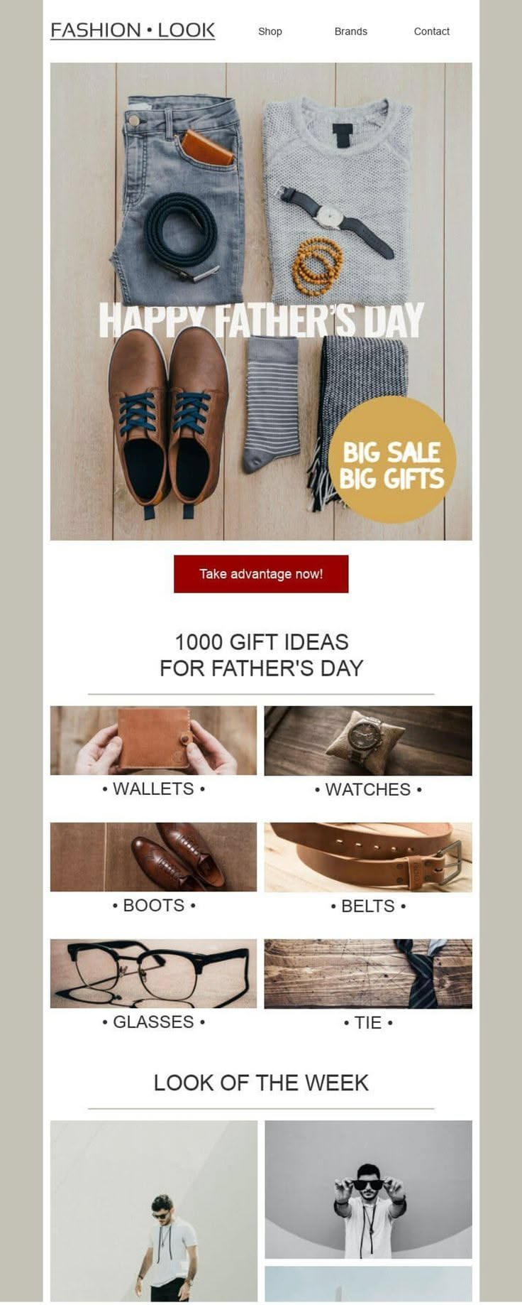 Father’s Day  Email Design | Newsletter Design | Email Template