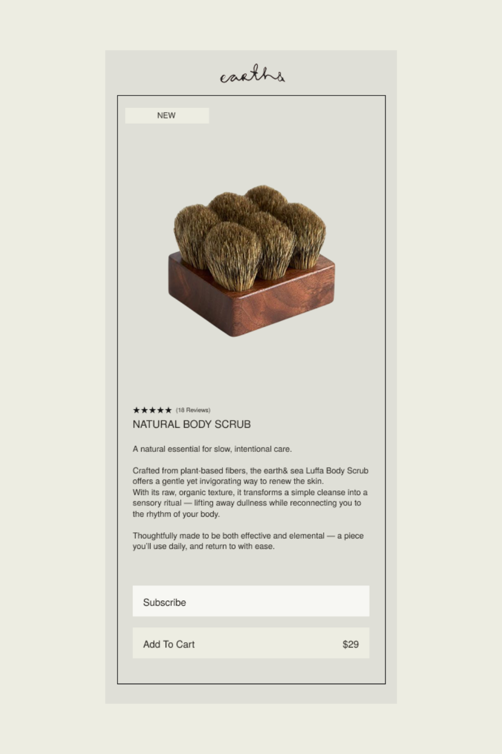 Minimal Email Design for Wellness Brand | Elevated Newsletter Layout