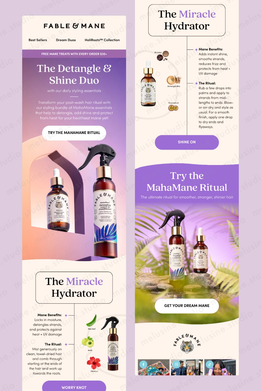 Email Design Example for a haircare ecommerce brand