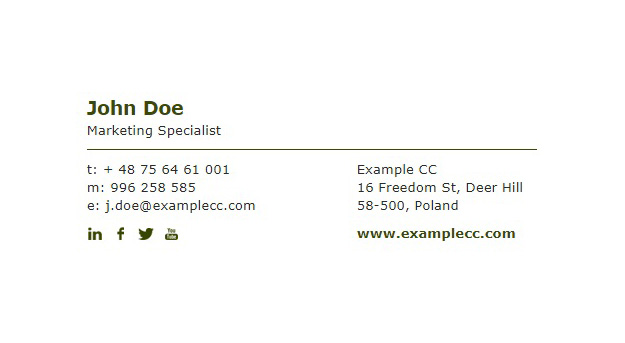 Plain text 3 – Email signature template