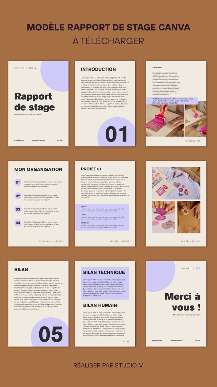 Professional Business Newsletter Canva Template Layout