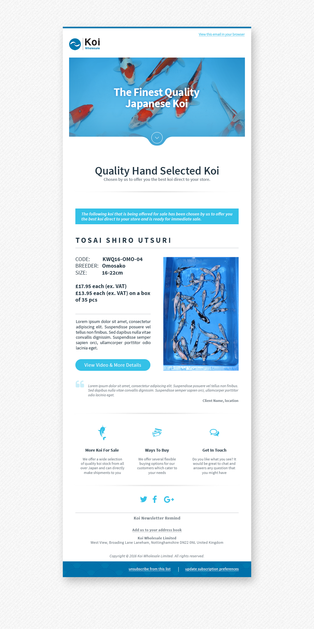 2025 Corporate Email Newsletter & Marketing Design Ideas for B2B Success