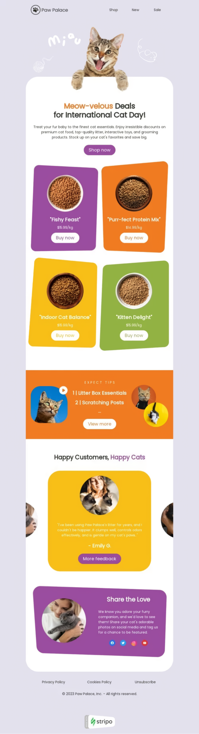 International Cat Day Email Design | Email Newsletter Design &mdash; Stripo.email