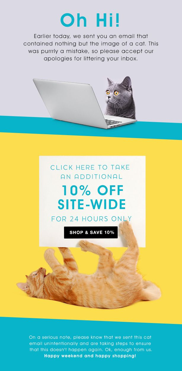 70+ Email Newsletter Templates & Examples (Free & Paid)