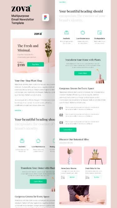 zova – Multipurpose Email Newsletter Template