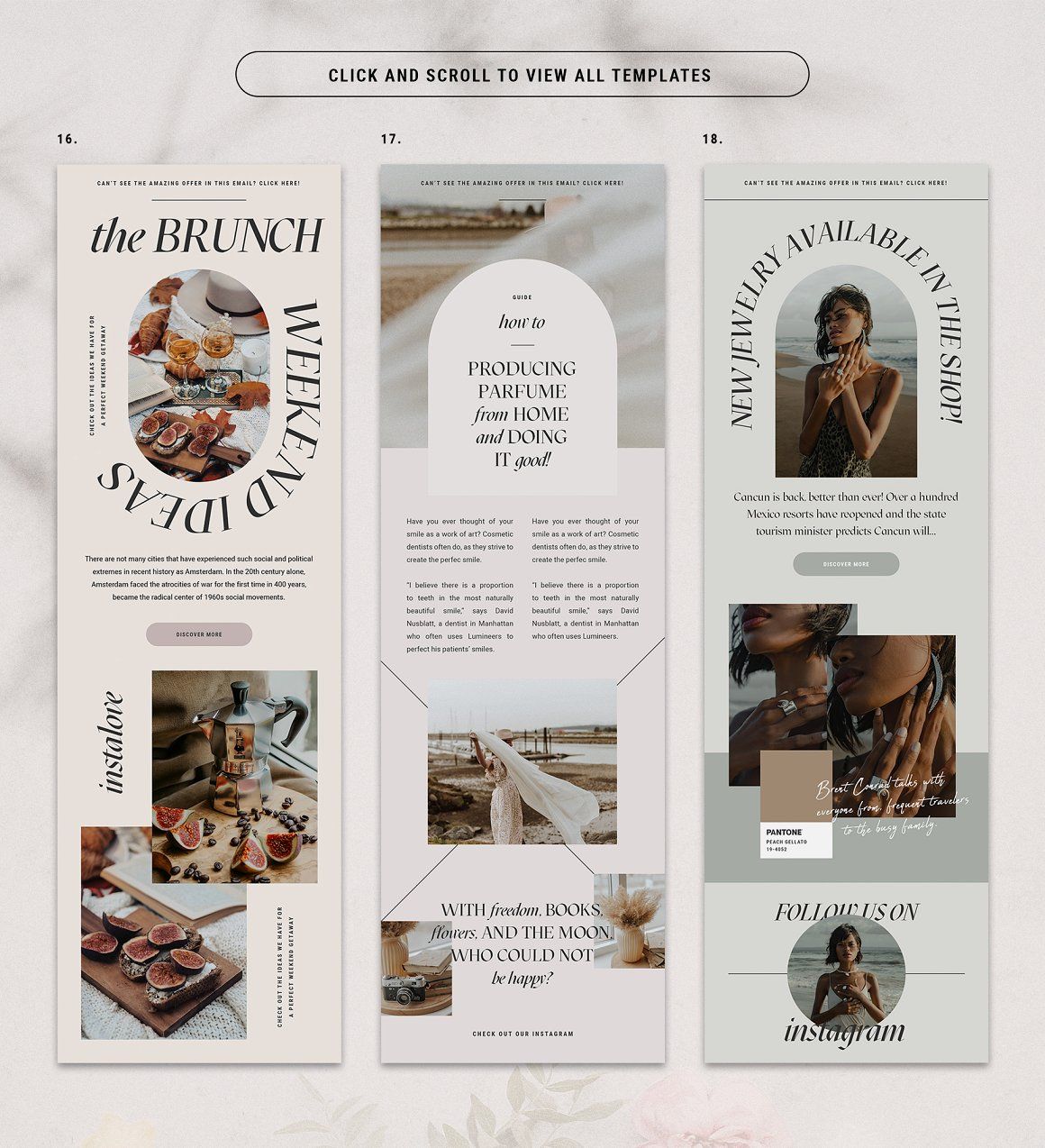 Adele – Newsletter Templates Pack