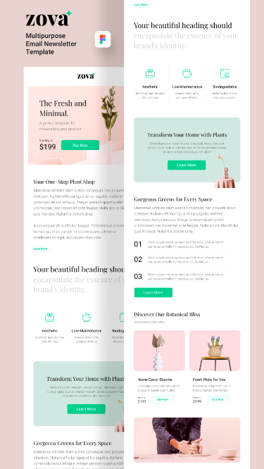 Zova: Versatile Email Newsletter Template with UI Design Website