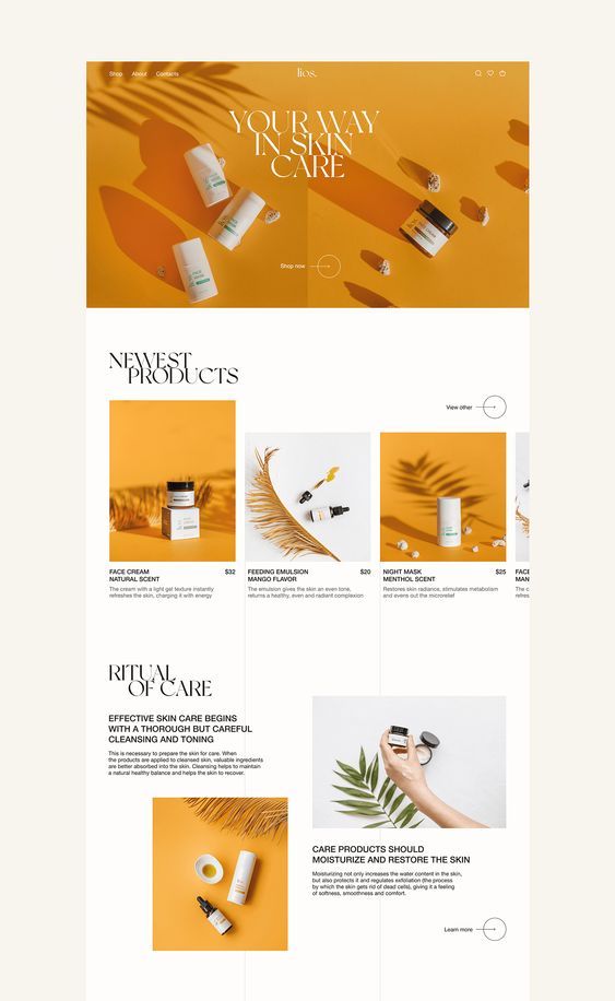 E-COMMERCE WEBSITE LIOS – Natalia Lisaeva