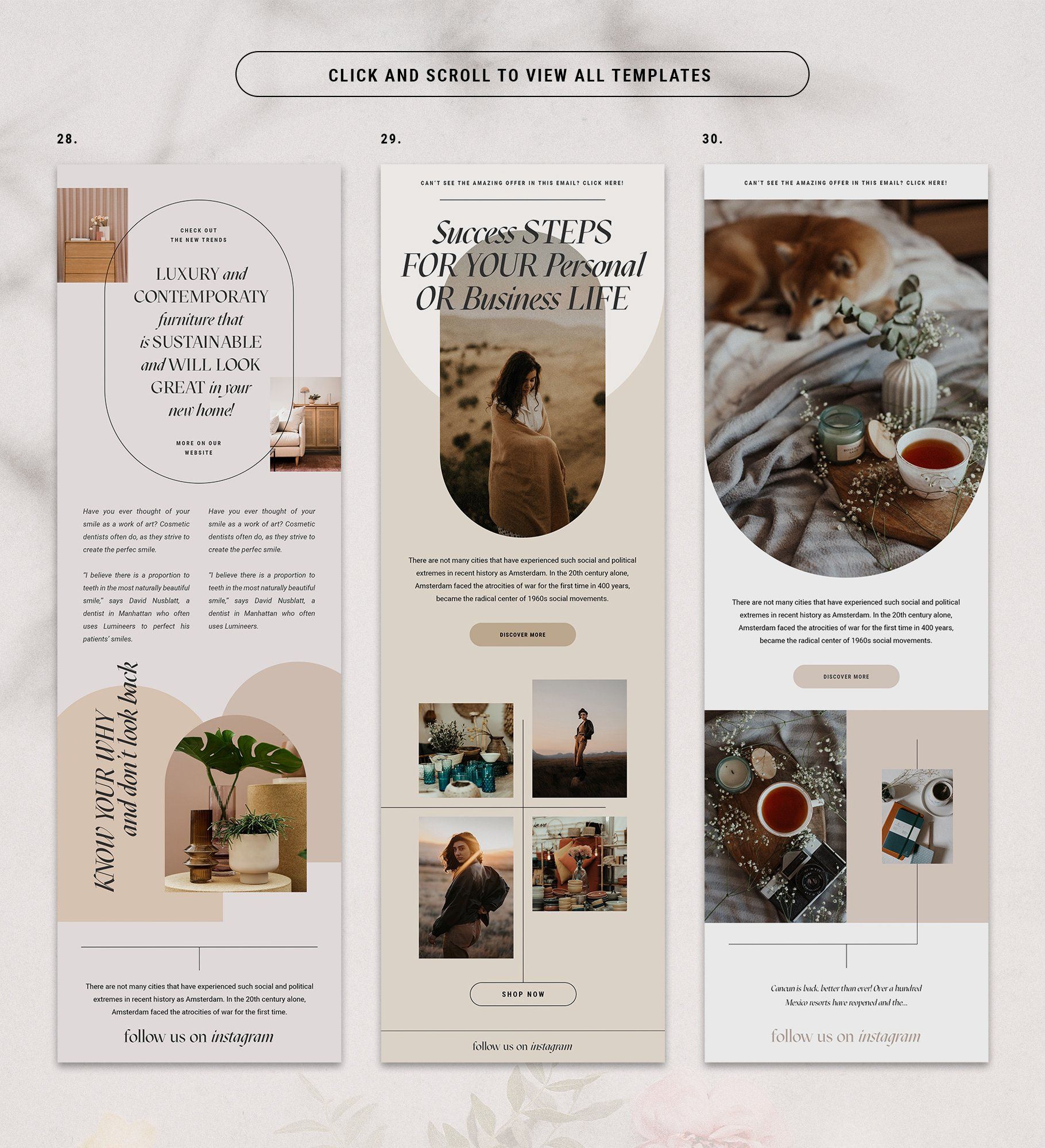 Adele – PS+Canva Newsletter Pack