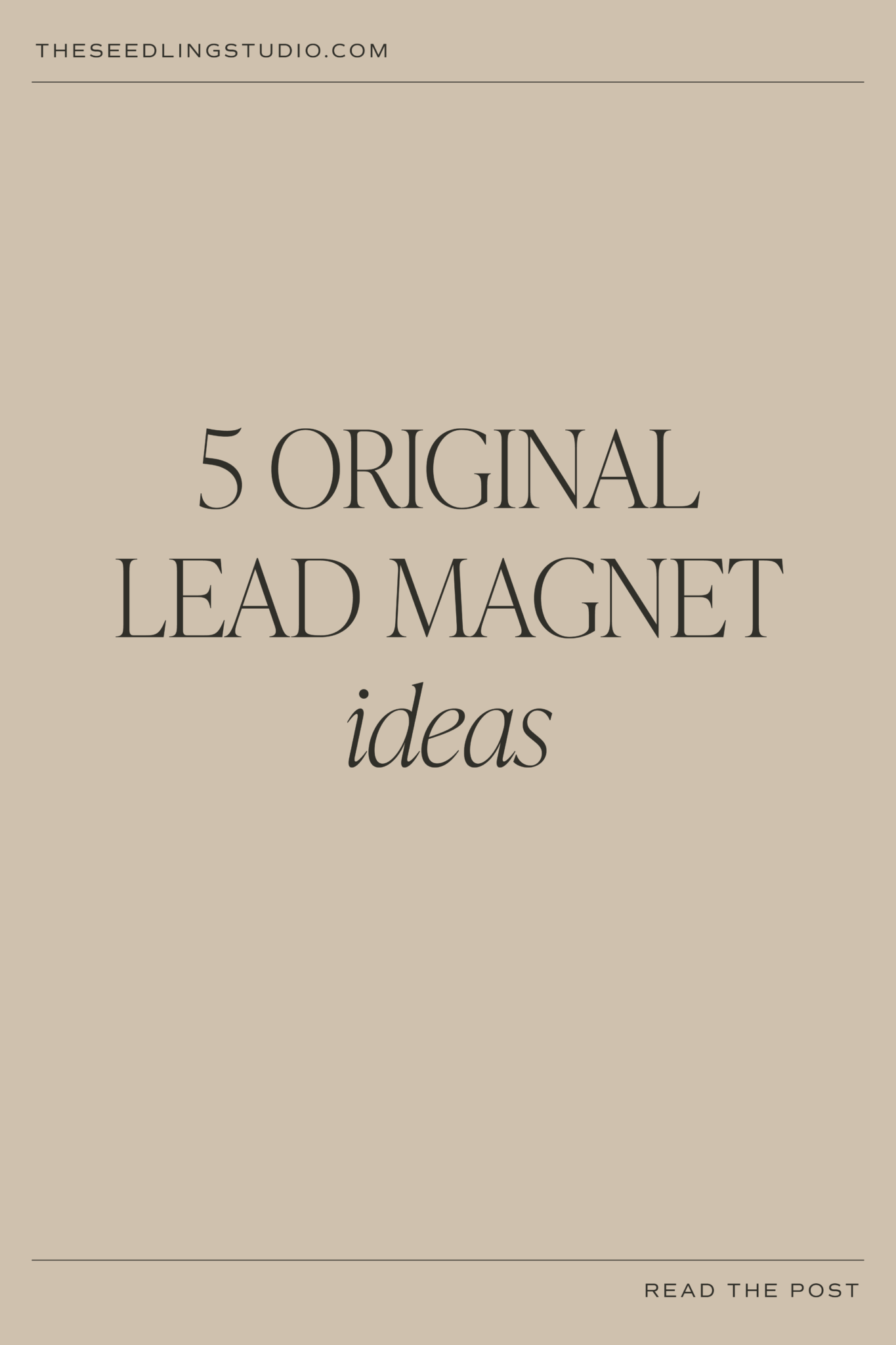 5 Lead Magnet Ideas to Grow Your Email List (+How to Add Them to Your Website)