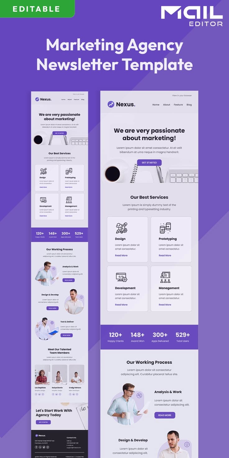 Marketing Agency Newsletter Template