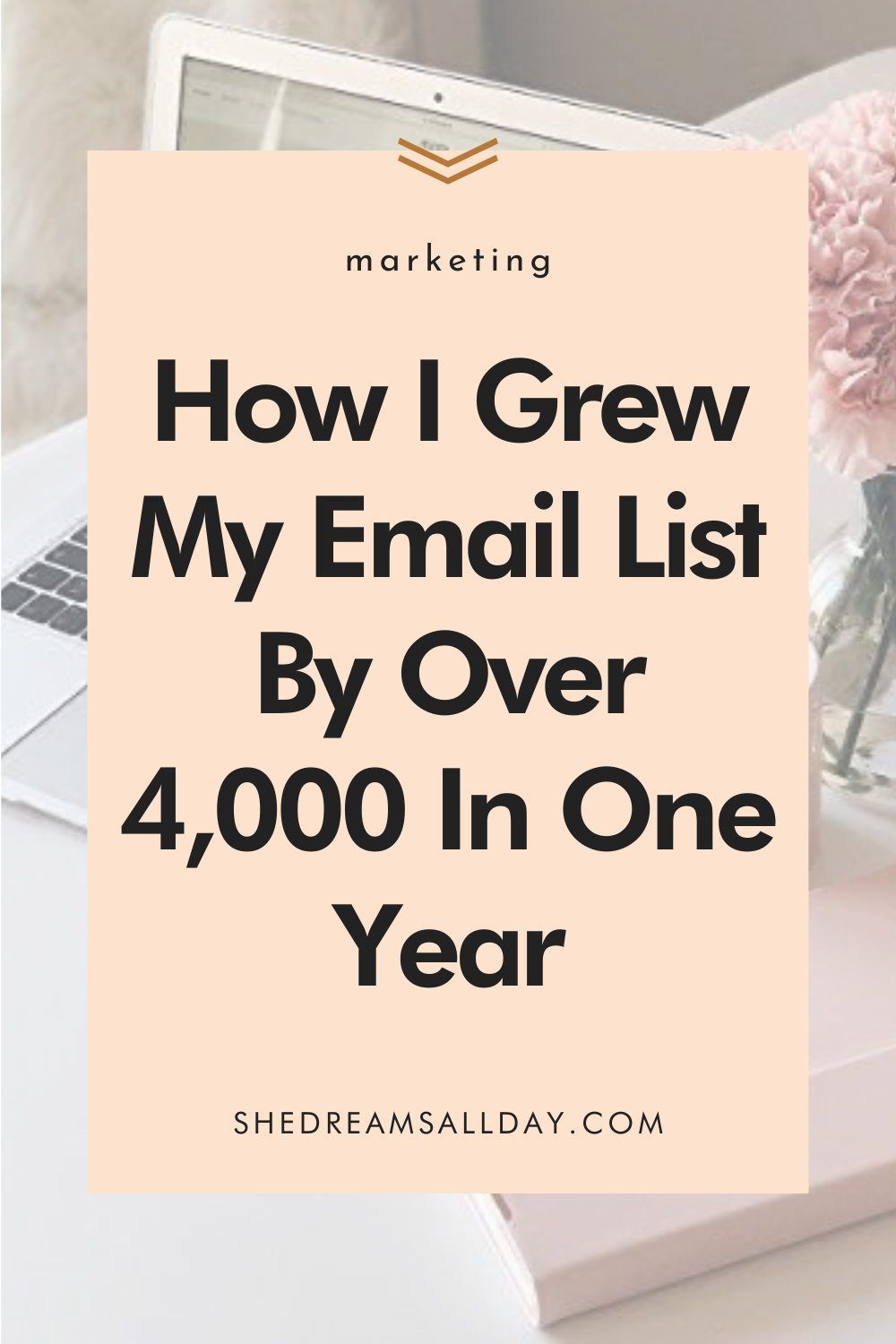 How I Got 4,000 Email Subscribers in Less Than One Year