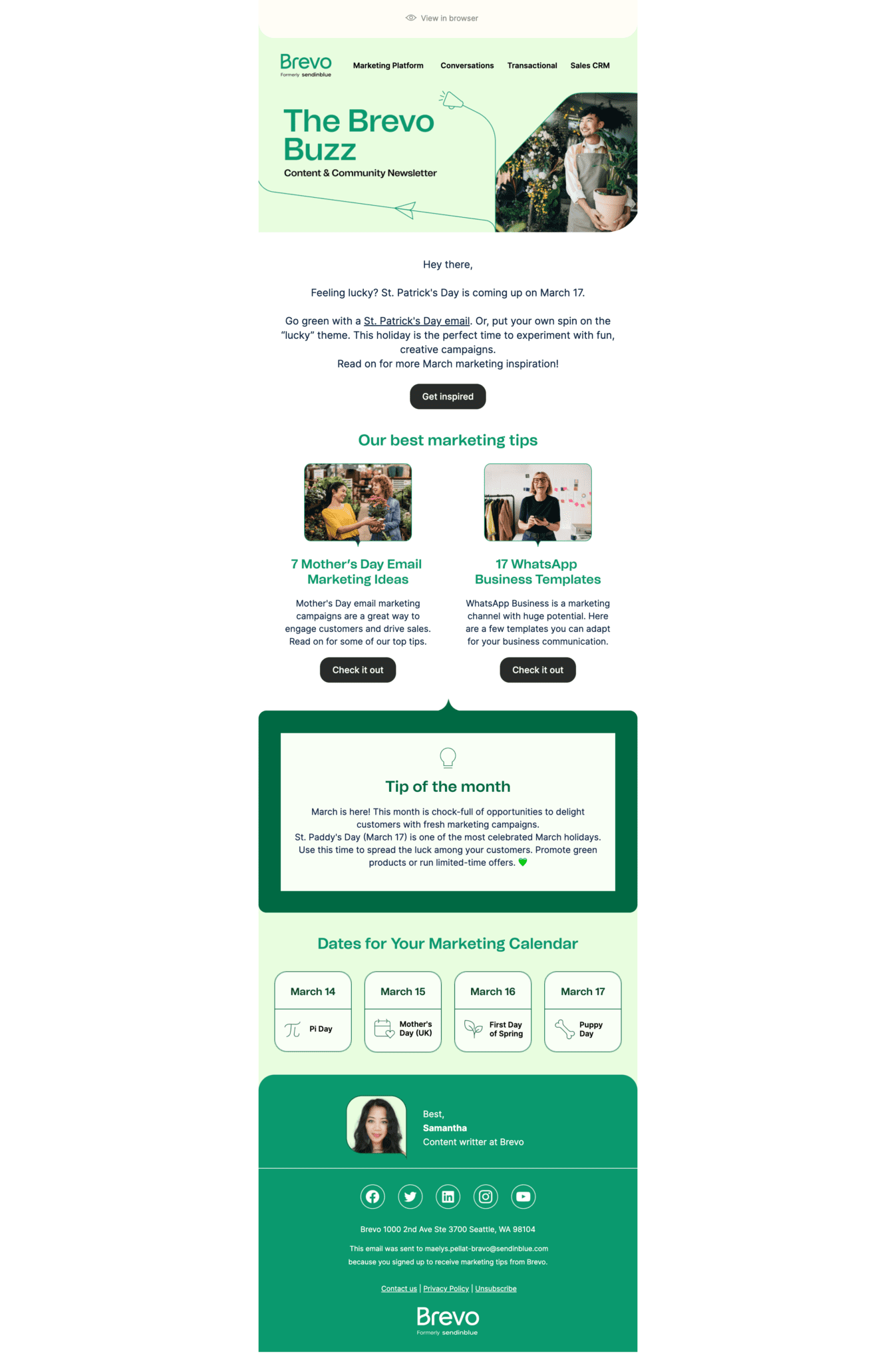 13 Great Email Newsletter Examples + Tips to Copy