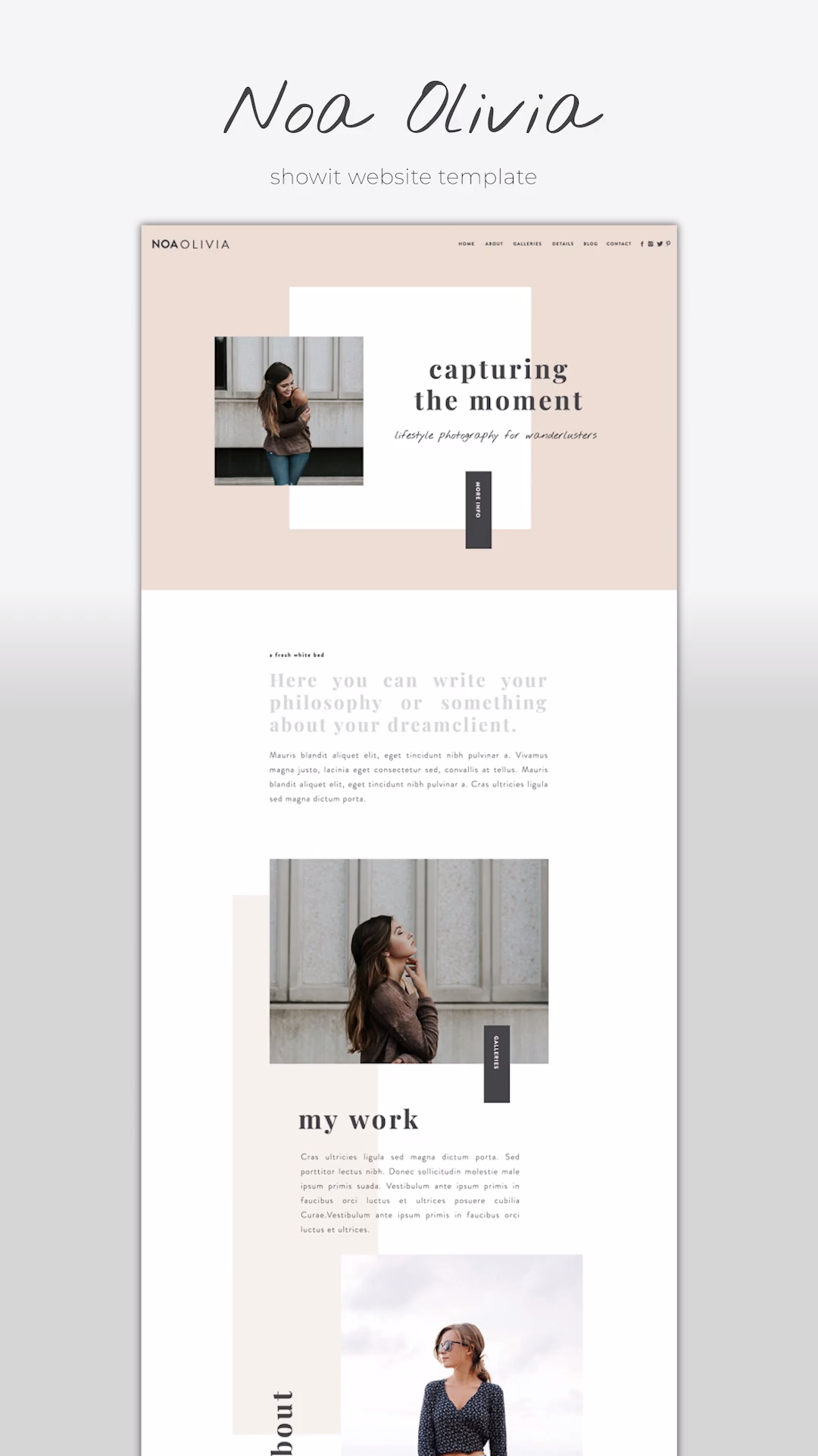 Templates & Themes | 806K+ to Download