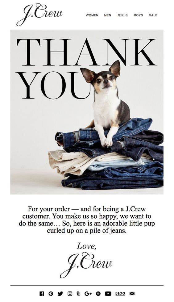 Guide to Successful Thank You Email Newsletters, Examples and Best Practices