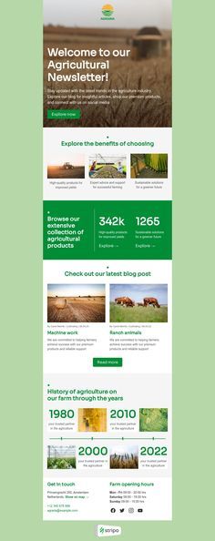 Promo Email Design | Email Newsletter Design — Stripo.email