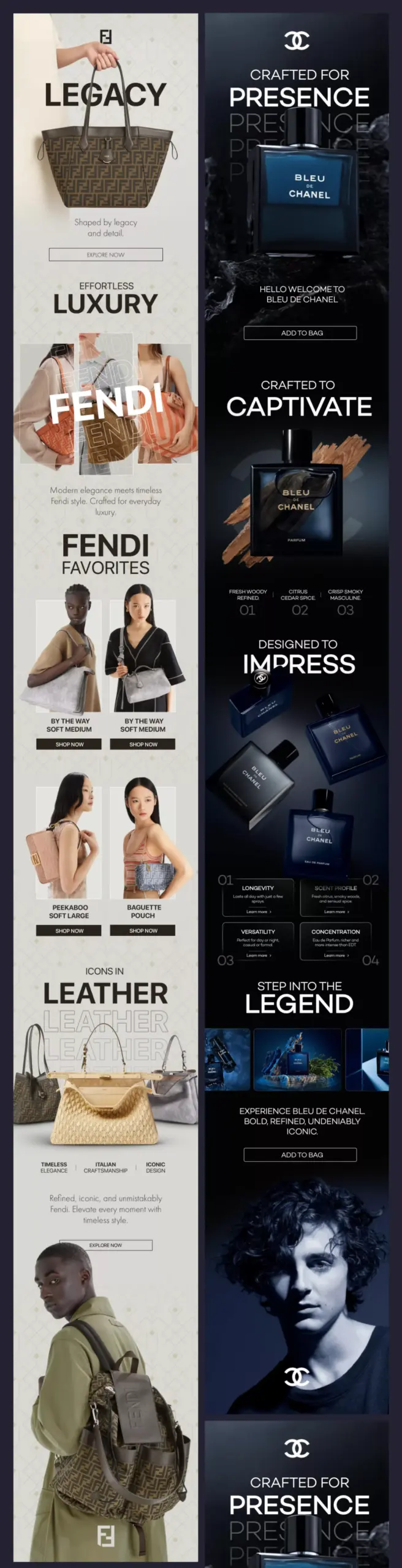 Email marketin newsletter design luxury handbags figma – Hamed Mohammadi