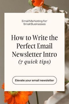 10 Effective Email Newsletter Intros for Professional Branding