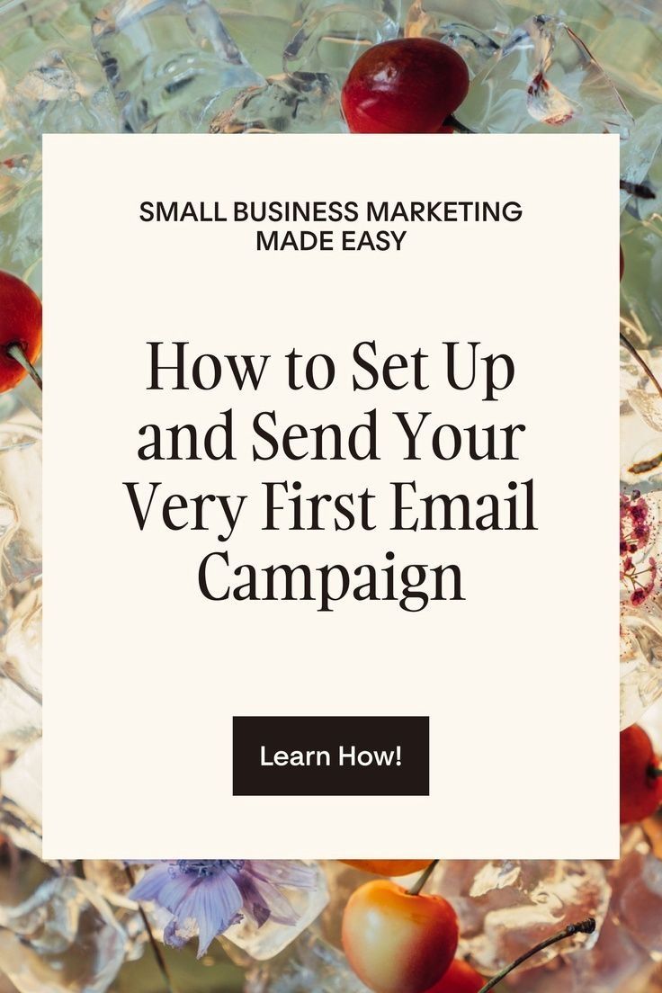 Beginner-friendly email marketing guide for small businesses