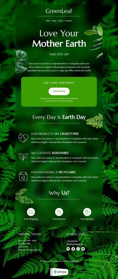 Stripo — FREE Email Template Builder: drag-n-drop Html Email Editor