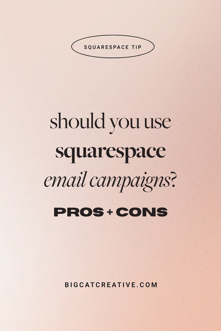Should you use Squarespace Email Campaigns? Pros and Cons — Big Cat Creative | Squarespace Templates