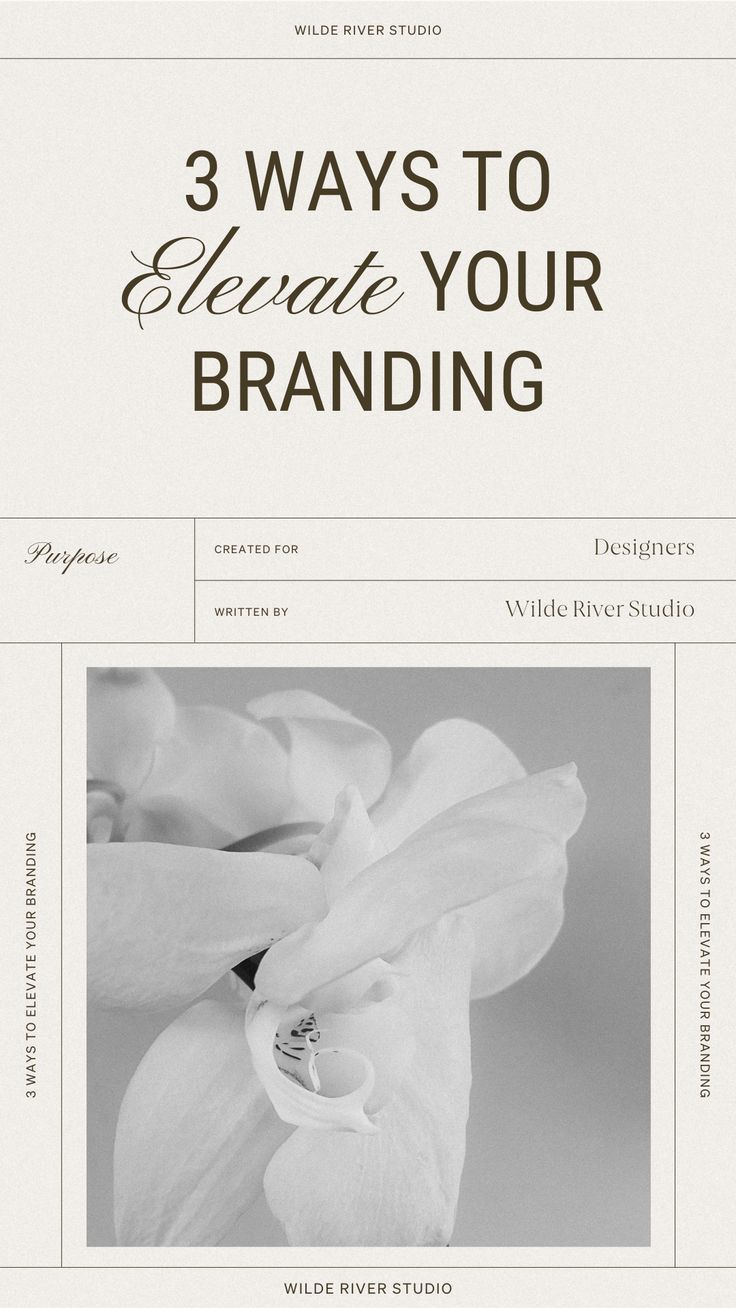 3 Ways to Elevate your Branding and Why | Wilde River Studio