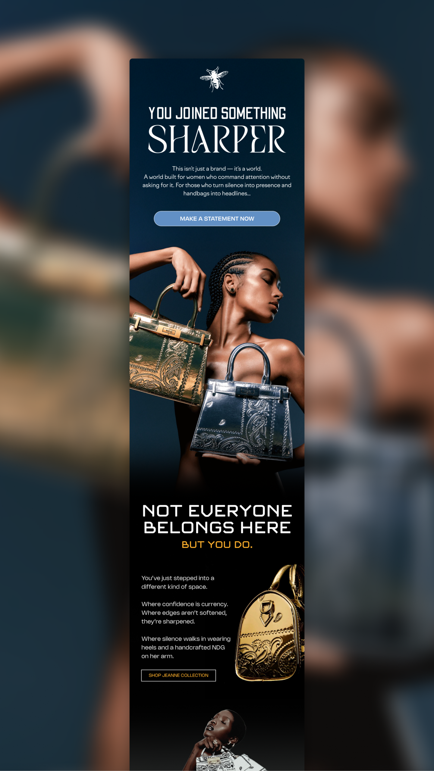 Email Campaign Design &ndash; Bag Brand