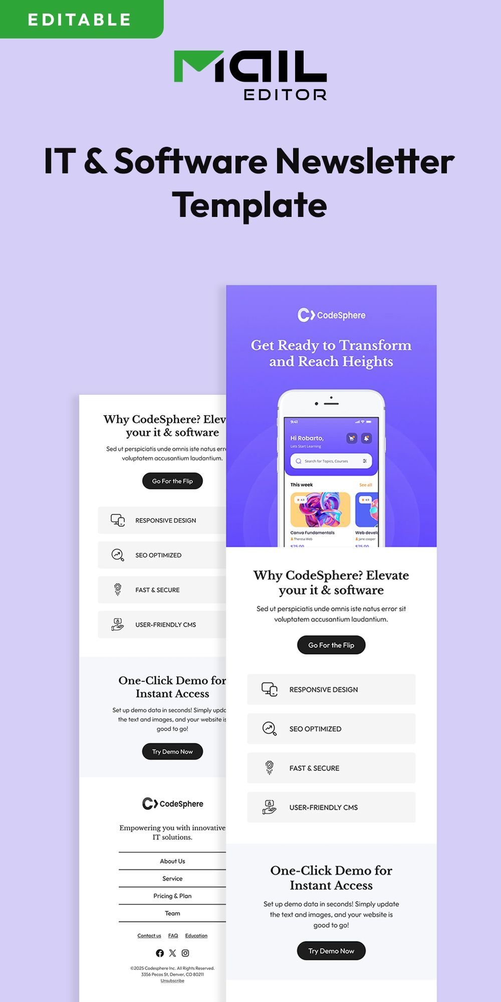 IT & Software Newsletter Template