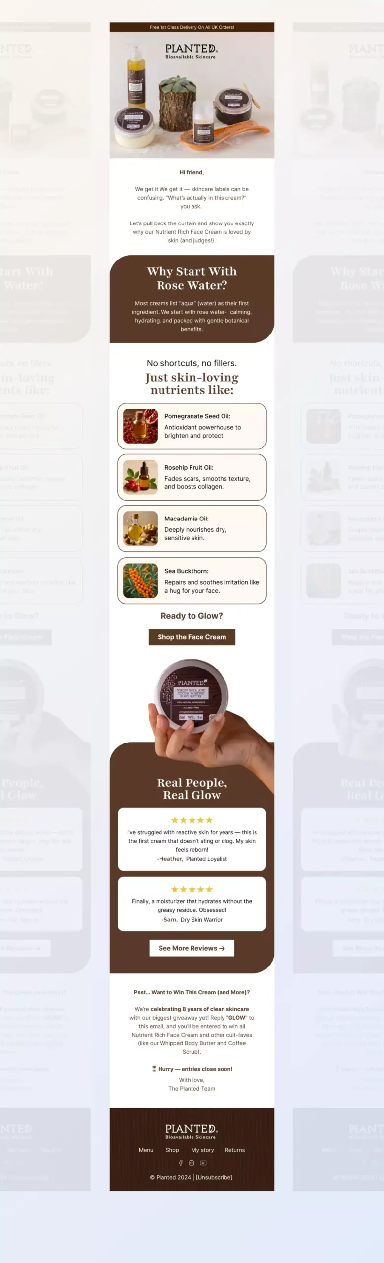 Klaviyo Email Design for Natural Skincare Product &ndash; sumeer saini